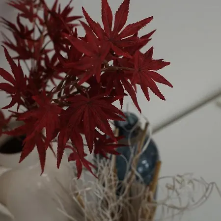 Yes Apartment, Center Belgrád